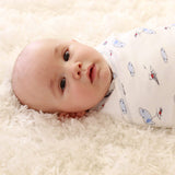 Flying Adventures of Mouse